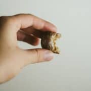 Hand holding ginger protein ball with a bite missing.