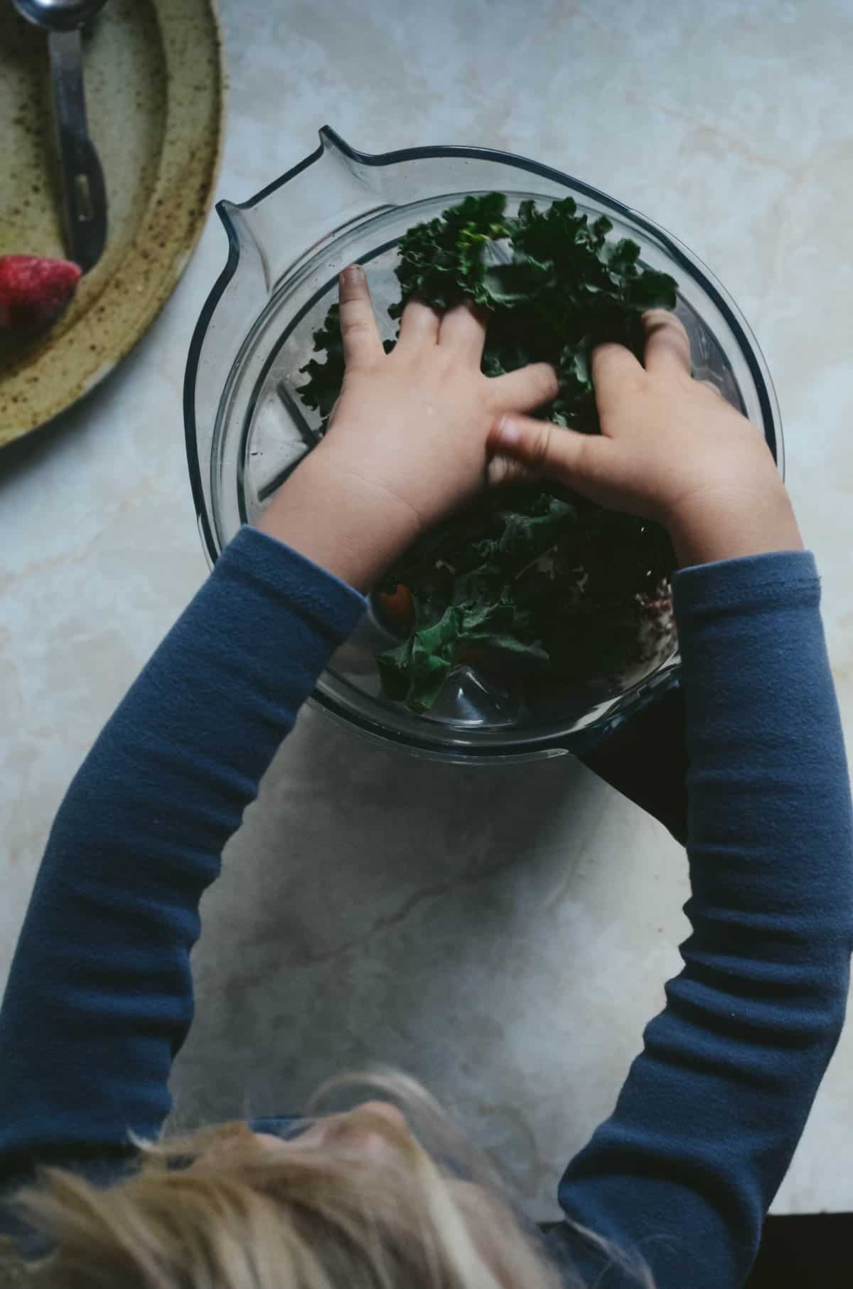 Toddler placing kale in vitamix blender.