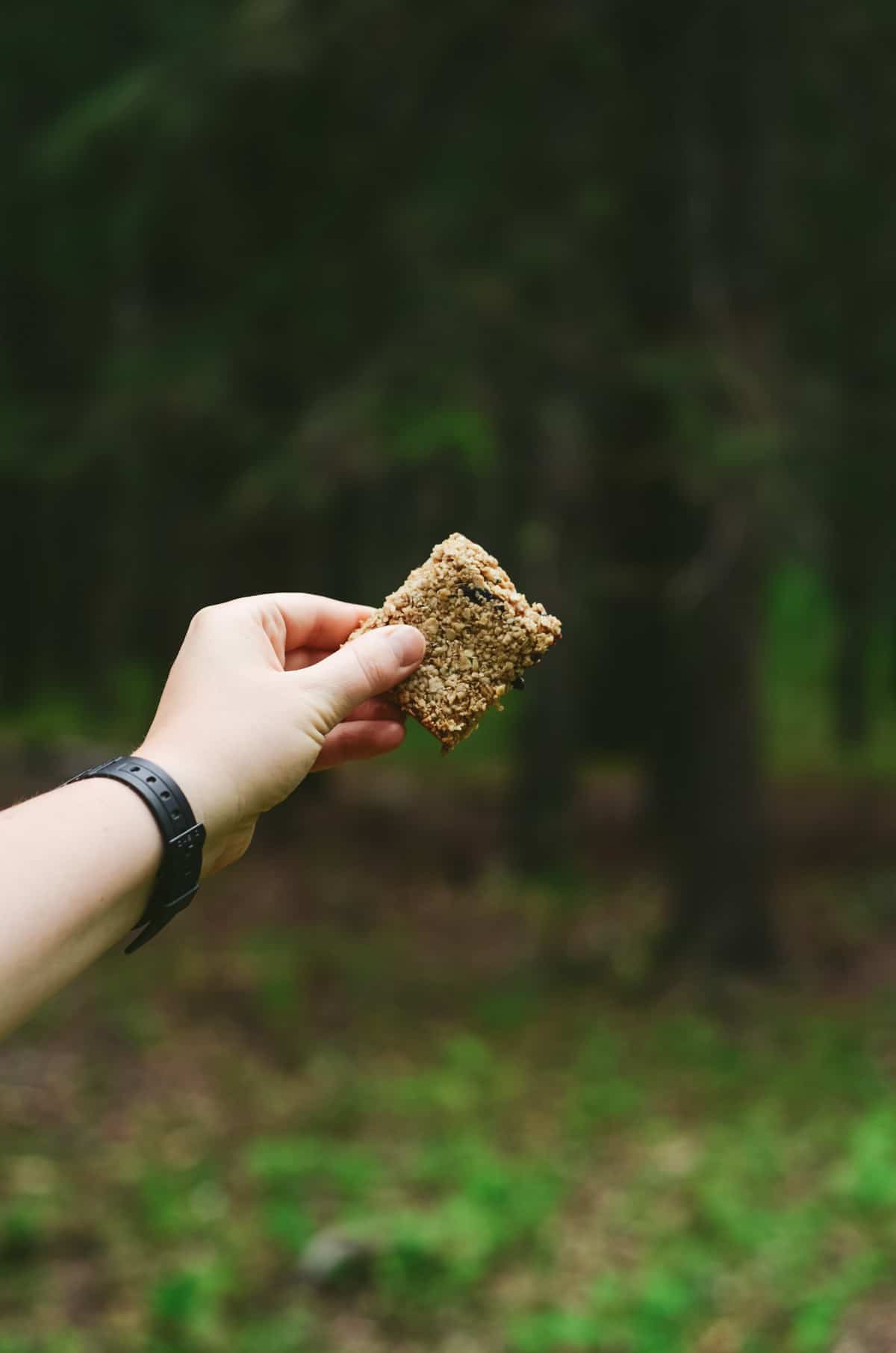 An oatmeal bar in one hand with a forest wilderness background.
