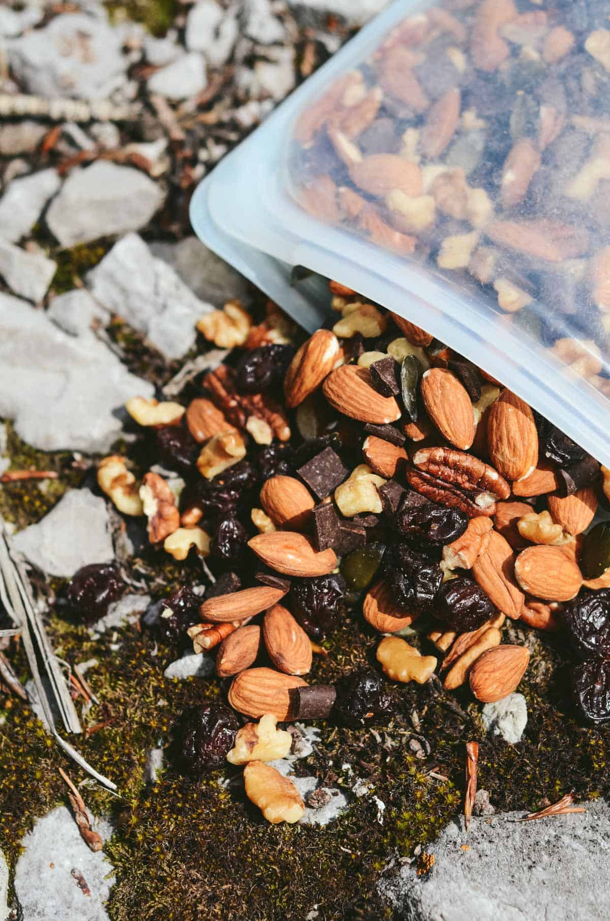 Trail mix falling out of ta resealable bag on the forest hiking trail with almonds and chocolate.