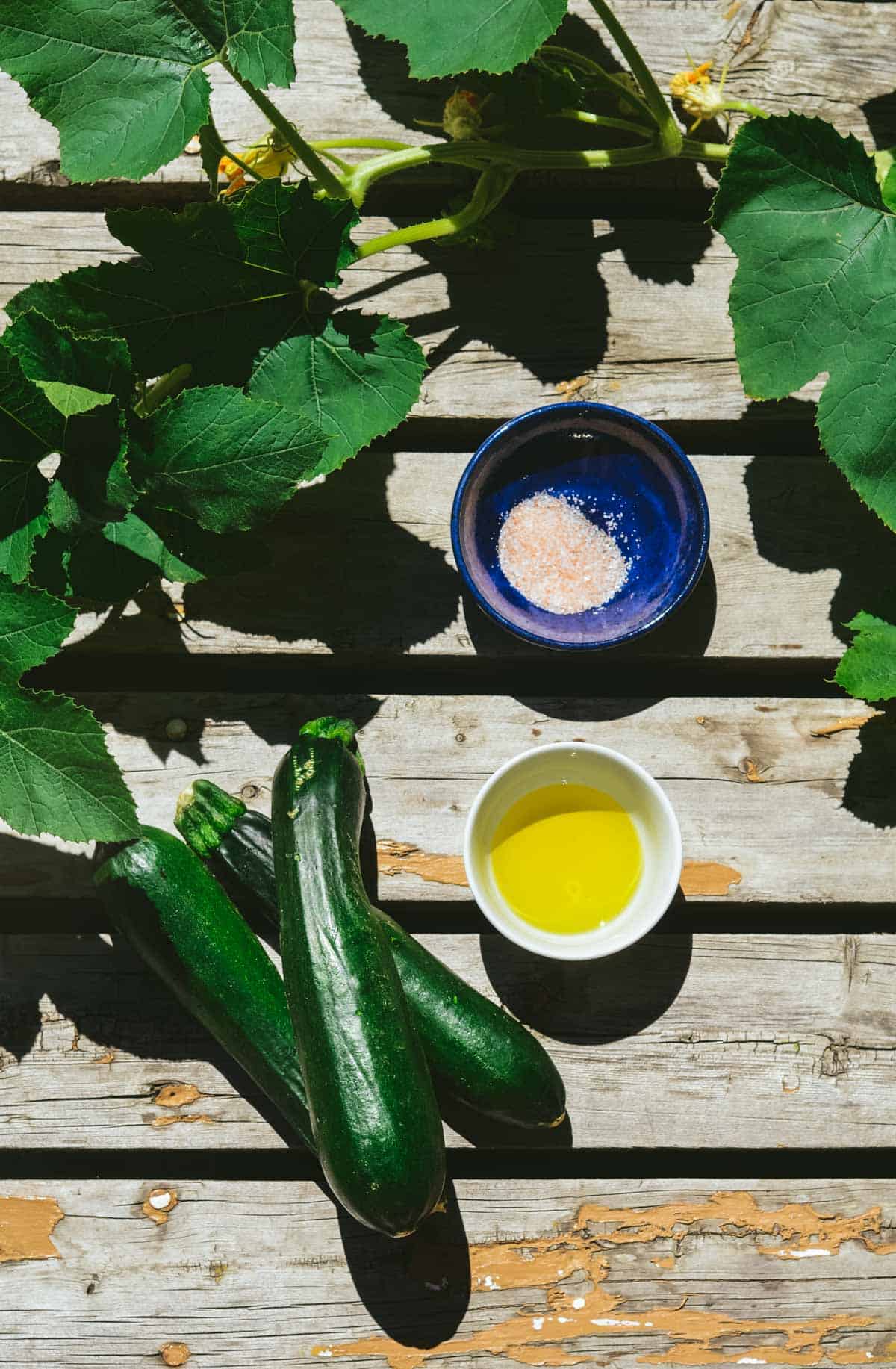 Three medium zucchini, olive oil in a bowl, sea salt in a bowl, with zucchini leaves of the plant around the ingredinets.