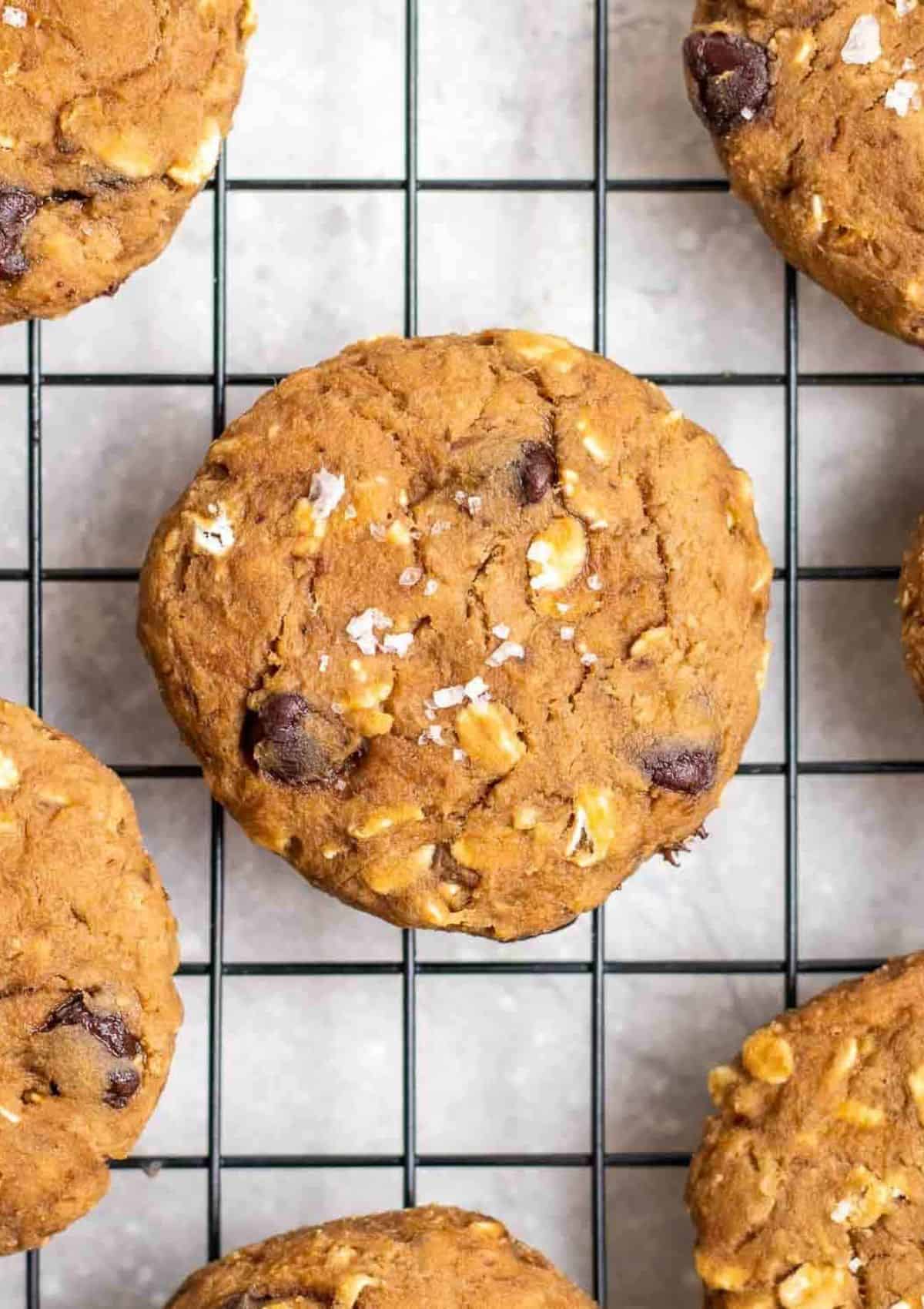 Brown cookies with oatmeal and chocolate chips on cooling rack.