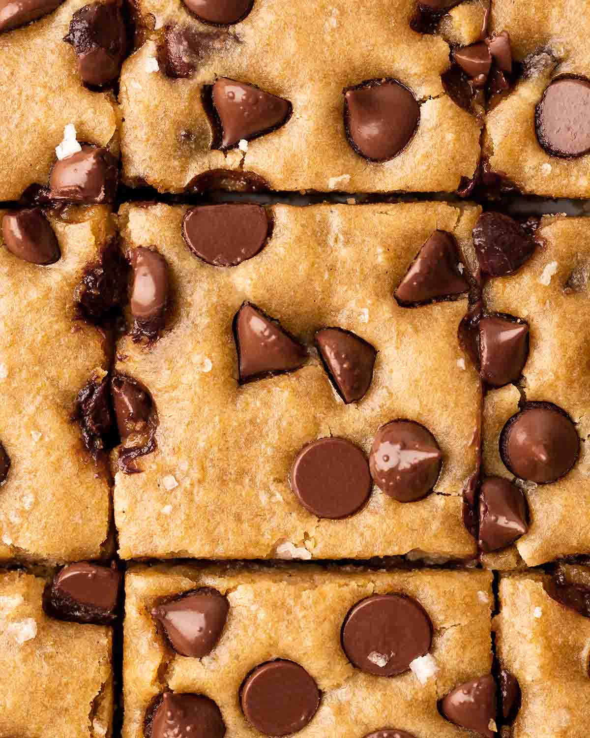 Close up of light brown bars with chocolate chips on top.