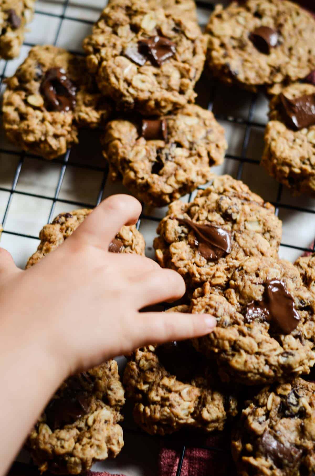 Toddler hand reaching chocolate chip oatmeal cookie with no eggs on a cooling rack.