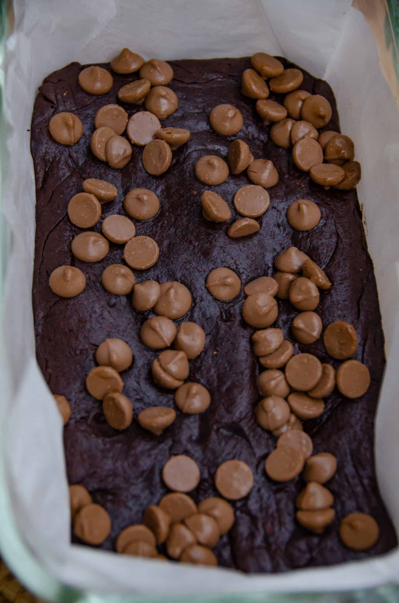 A loaf pan of dark brown brownies with milk chocolate chips on top.