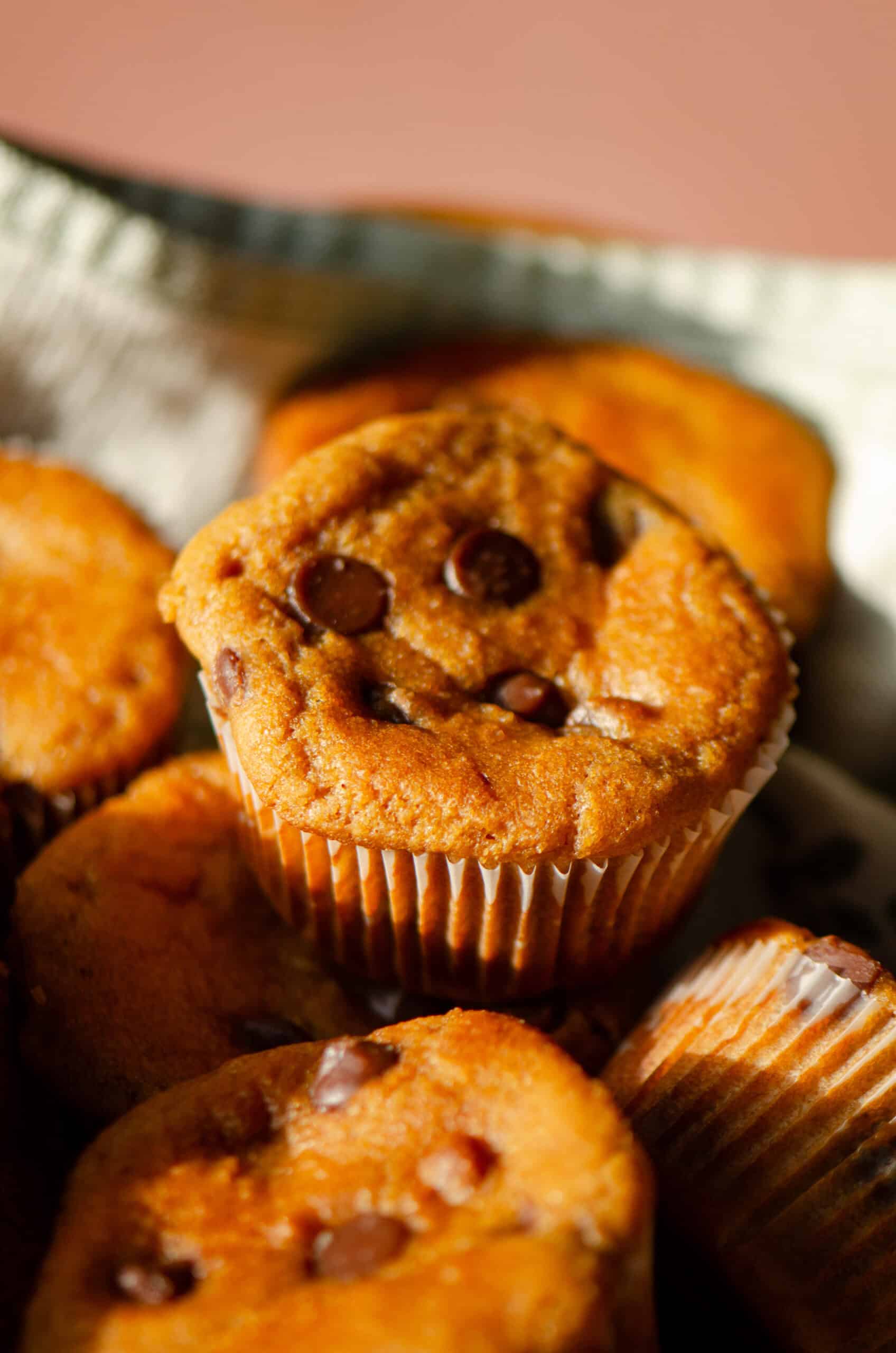 Cottage cheese flourless protein muffins with chocolate chips on top.
