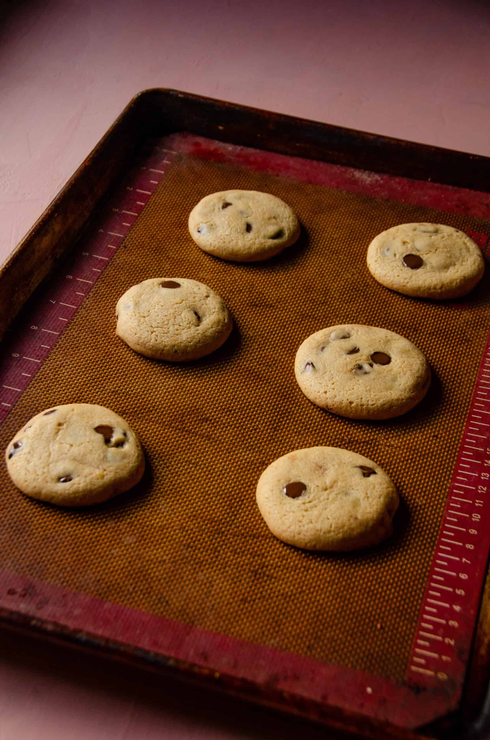 Baked honey chocolate chip cookies on a cookie sheet.