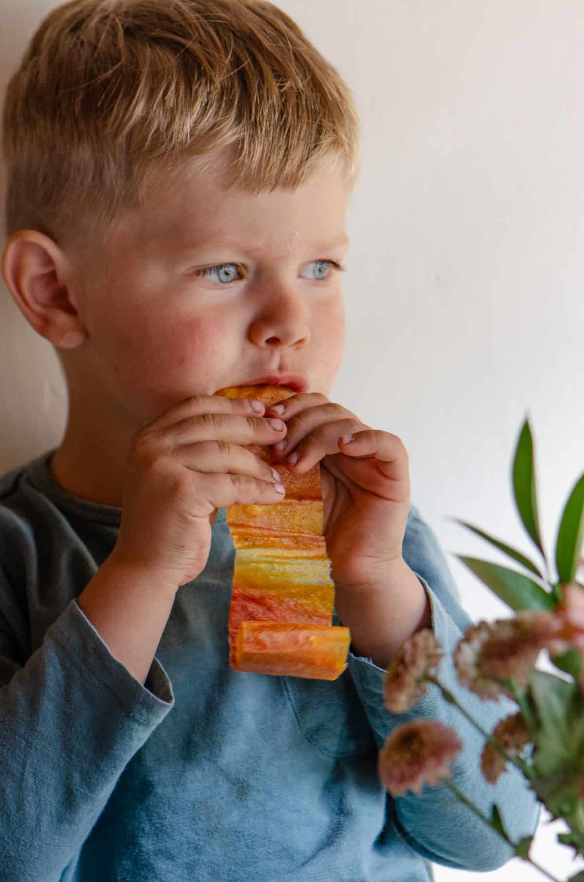 Toddler eating a yellow and pink fruit roll up.