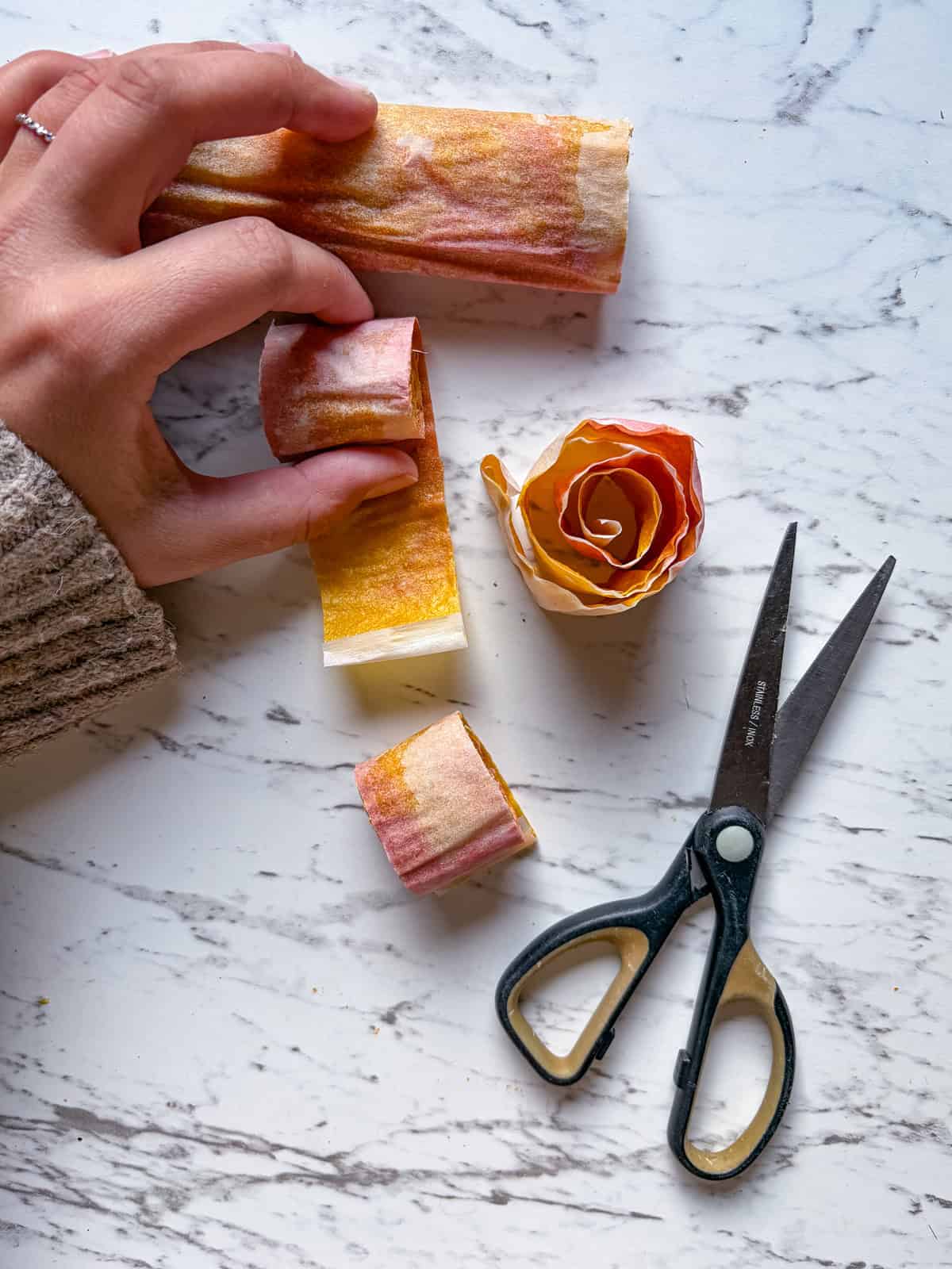 Rolled up fruit leather stuck to parchment paper being cut with scissors into small fruit roll ups.